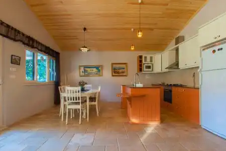 flamingo - 155