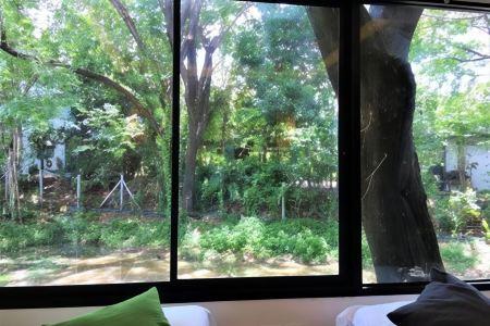 Green@Buriram - 32
