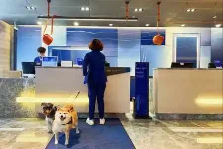Holiday Inn Express HANGZHOU HUANGLONG by IHG - 2