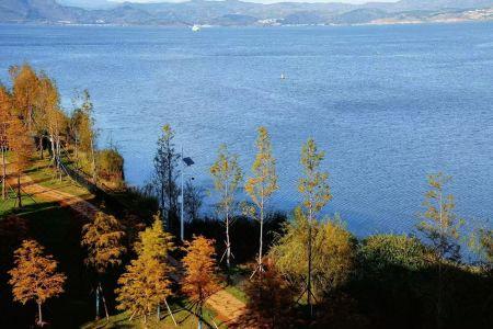 Dali Man Yue · M Seaview - 56