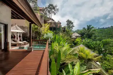 The Kayon Jungle Resort - 5