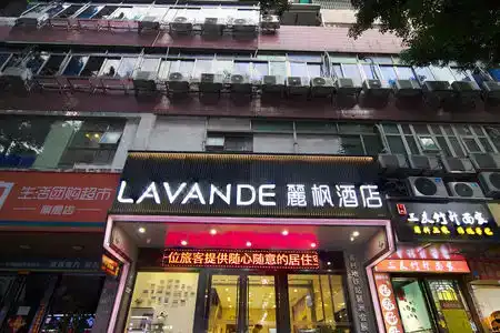 Lavandes - 1