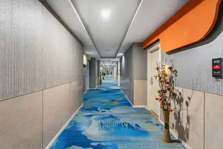 Shell - 8