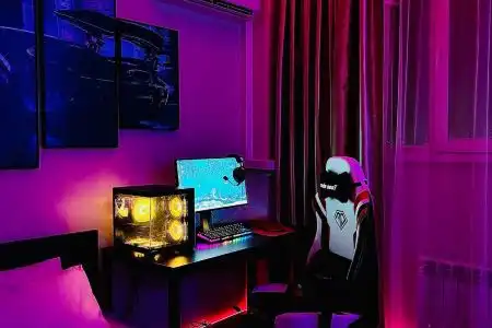 Vortex Esport - 7
