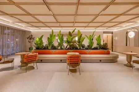 Orange - 2
