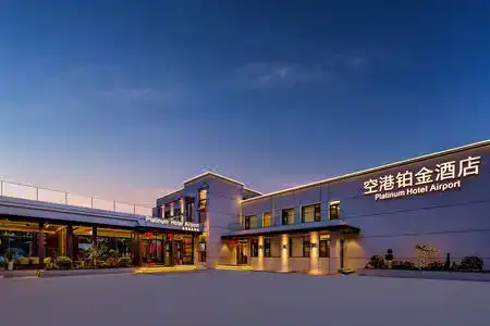 Airport Platinum (Nanjing Lukou Airport) - 1