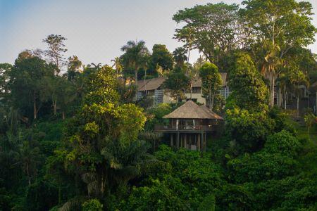 Alila Ubud - 58