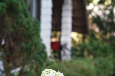 TTC Dreamy Hill Resort - 16