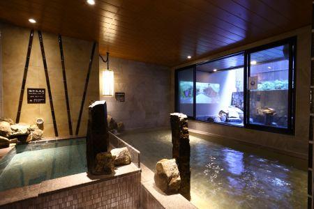 Dormy Inn Express Gotemba Hot Springs - 3