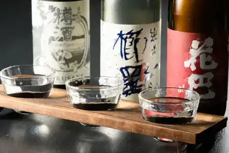 Asyl Nara - 5
