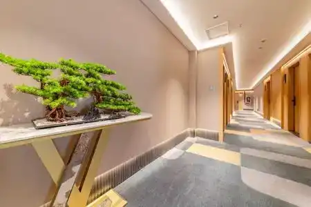 xindu yunqi - 2