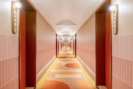 Orange - 5