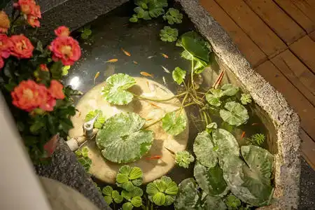 Lanyue · YinShe Boutique Design Guesthouse (Dali Ancient City South Gate) - 4