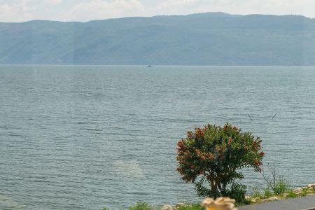 Dali Sea Whisper Sea-view - 47