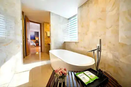 Jiujiantang Yijin - 3