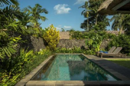 Alila Ubud - 65