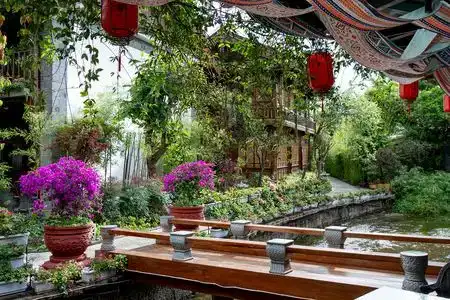 Lijiang Jinfu - 2