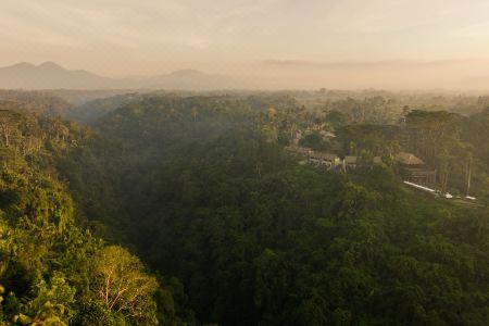 Alila Ubud - 95