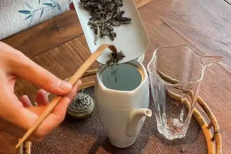 Four Seasons Mutu - 5