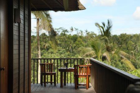 Alila Ubud - 49