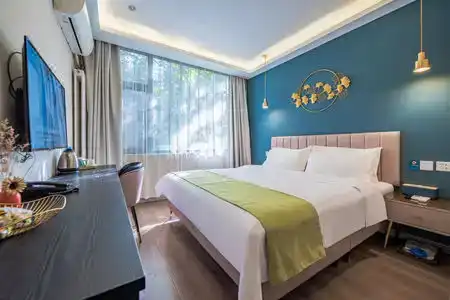 Wutongsu Designer - 3