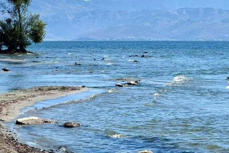 Dali Man Yue · M Seaview - 31