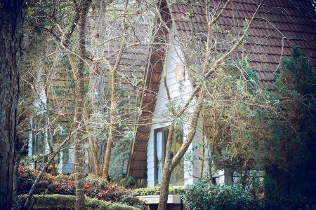 TTC Dreamy Hill Resort - 7