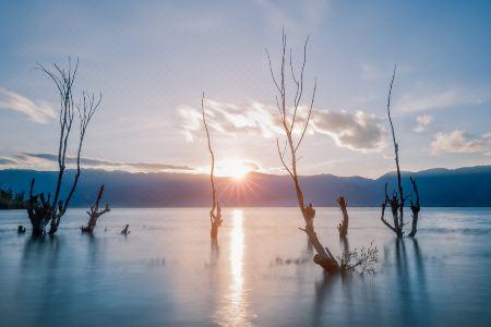 Dali Man Yue · M Seaview - 67