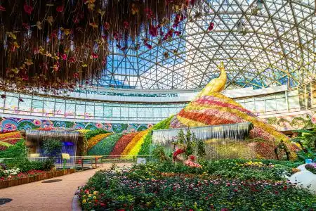 Howard Johnson Flower City - 9