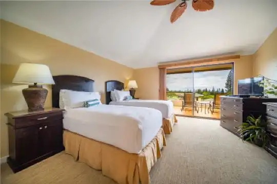 Kapalua Villas Maui - 278