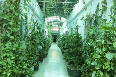 Jiutian - 1