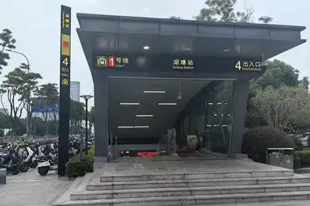 Shell - 6
