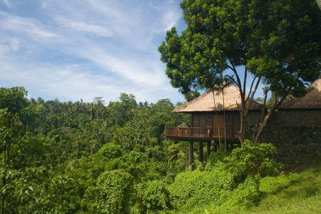 Alila Ubud - 45