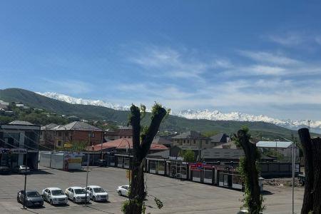 BARYS - 7