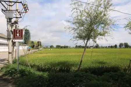 Yishu Ancient House - 5