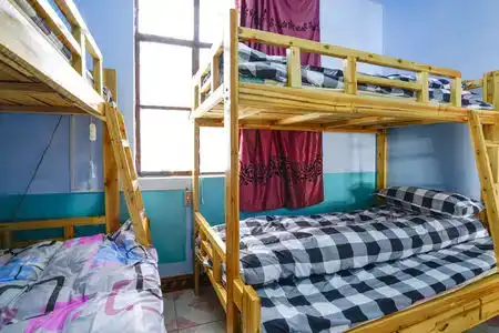 Spring Rabbit Hostel - 4