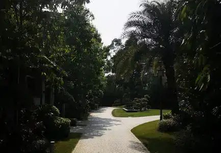 Birds Resorts & Villa - 280