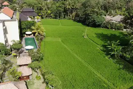 Byasa Ubud - 4