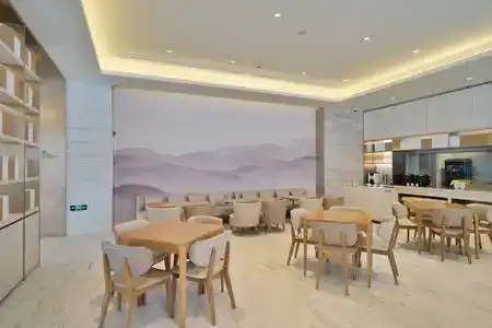 JI (Shanghai Hongqiao National Exhibition Center Shenhong Road) - 5