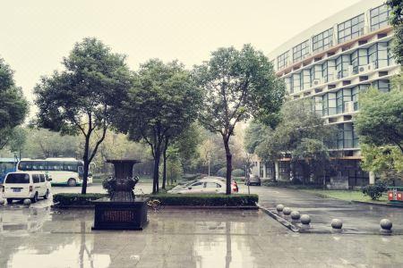 GreenTree Alliance - 11