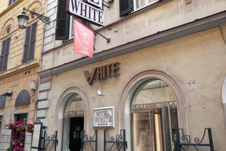 White - 7