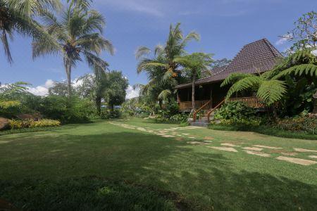 Ubud Valley Boutique Resort - 47
