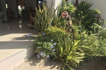 OYO 333 Ceylonica Beach - 2