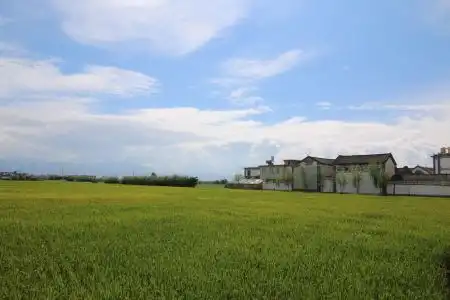 Yishu Ancient House - 3