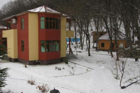 Alpine Inn - 5