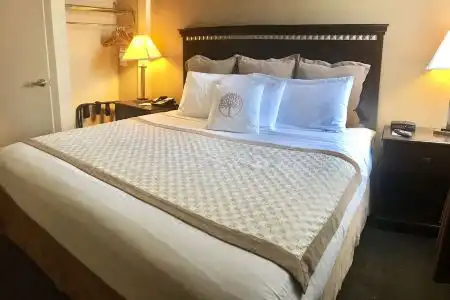 Hawthorn Suites by Wyndham - 24