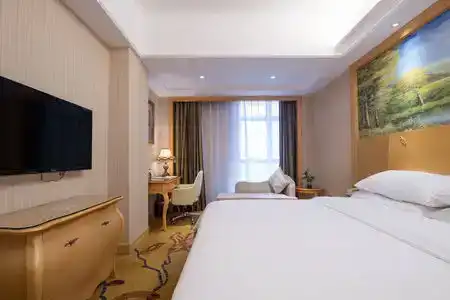 Vienna - 35