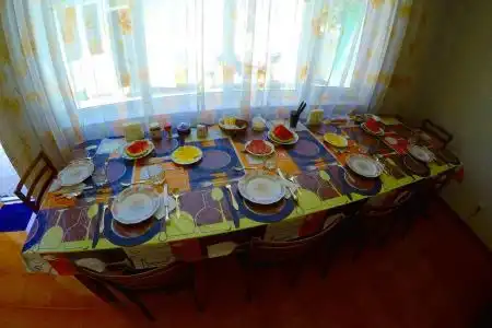 Zhukov's Guest House - 3