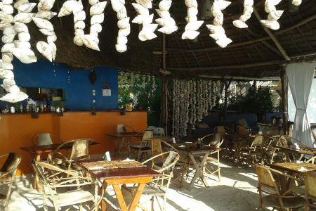 Natural Garden Boutique - 6