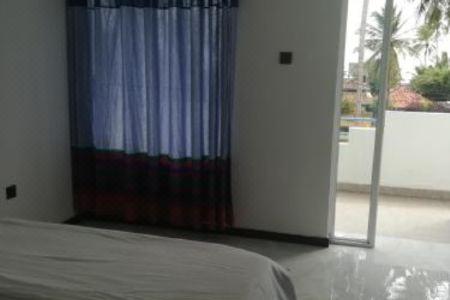 Moon Light Guest - 2